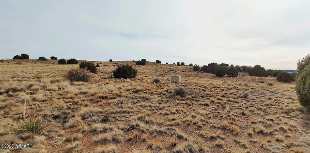 1581 W Harvest Ct, Taylor, AZ 85939 - photo 3