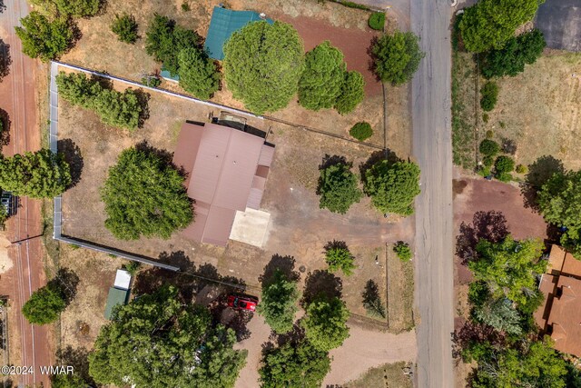 274 Mountain View Dr, Lakeside, AZ 85929 - aerial view of property's location featuring property parcel outlined