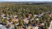 drone / aerial view featuring a view of trees