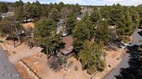 birds eye view of property with a view of trees