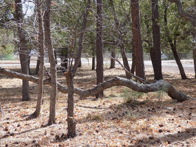 view of nature