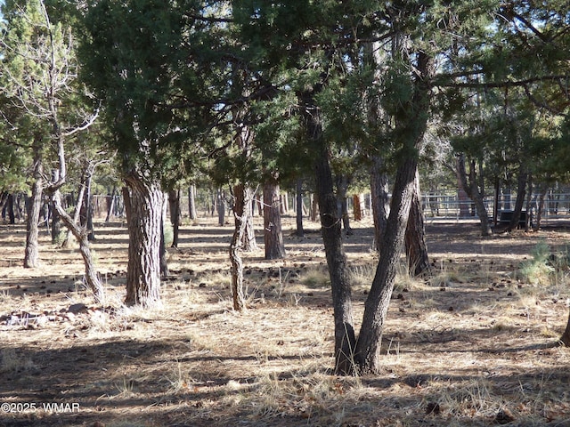 view of landscape