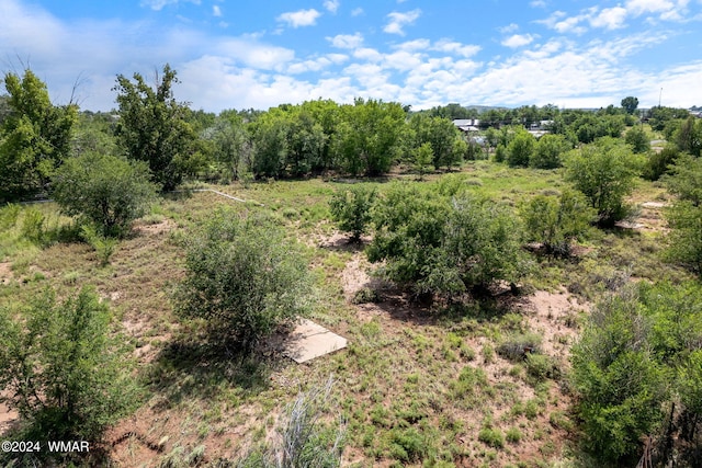 view of local wilderness