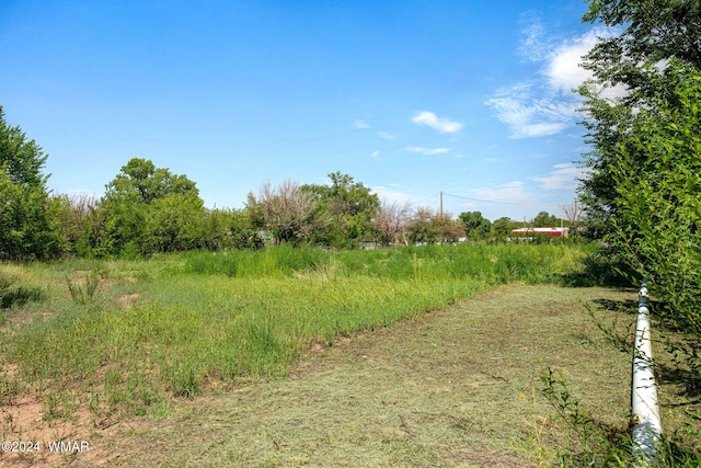 view of yard with a rural view