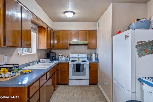 kitchen featuring white appliances, under cabinet range hood, brown cabinetry, and a sink