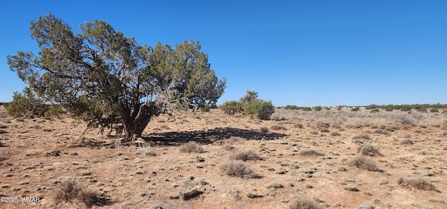 5137 Encanto Rd, Snowflake, AZ 85937 - photo 9
