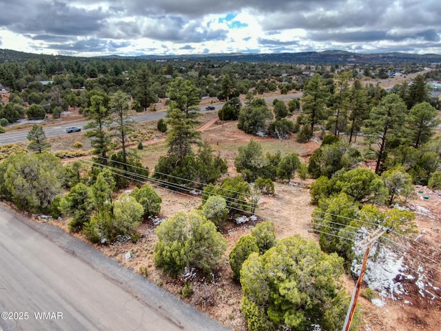 1016 School House Ln, Show Low, AZ 85901 - photo 3