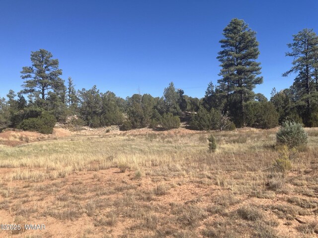 1016 School House Ln, Show Low, AZ 85901 - photo 6
