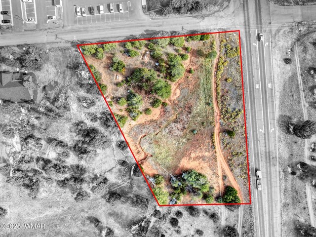 1016 School House Ln, Show Low, AZ 85901 - photo 5
