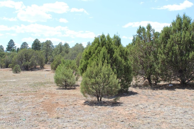 551 E Owens St, Show Low, AZ 85901 - photo 2