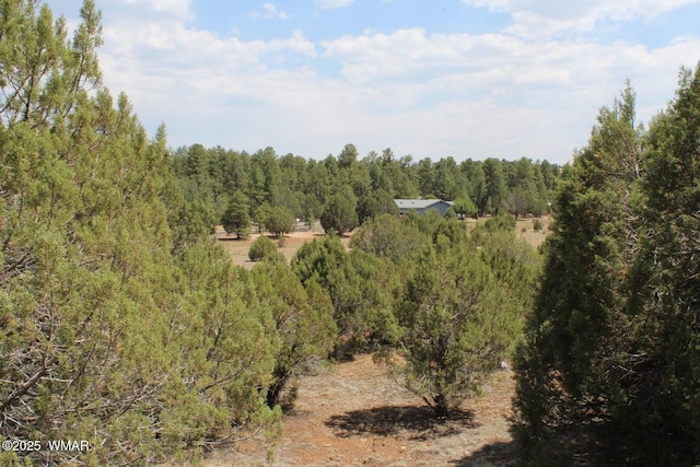 551 E Owens St, Show Low, AZ 85901 - photo 12