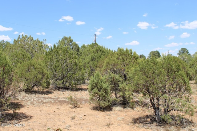 551 E Owens St, Show Low, AZ 85901 - photo 8