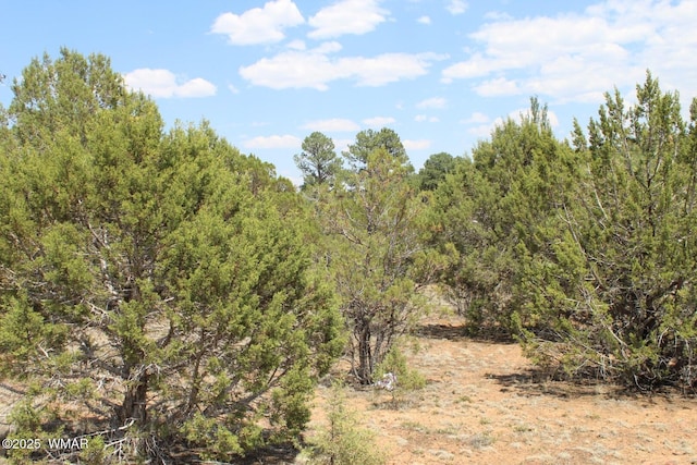551 E Owens St, Show Low, AZ 85901 - photo 10