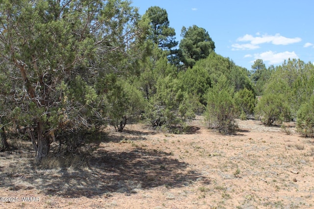551 E Owens St, Show Low, AZ 85901 - photo 7