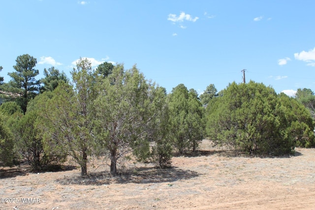 551 E Owens St, Show Low, AZ 85901 - photo 4