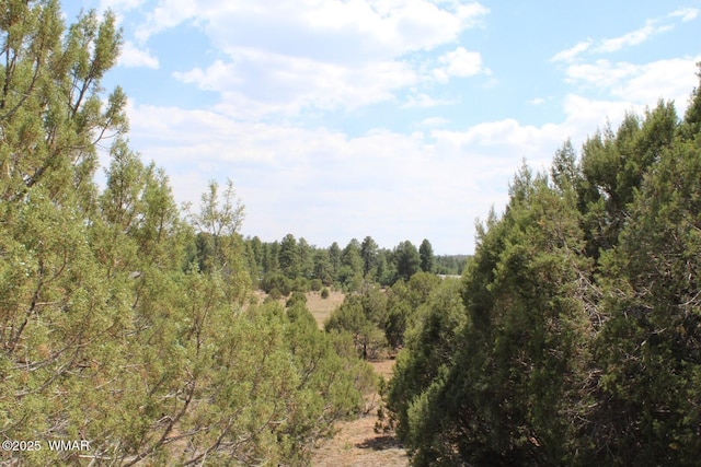 551 E Owens St, Show Low, AZ 85901 - photo 13