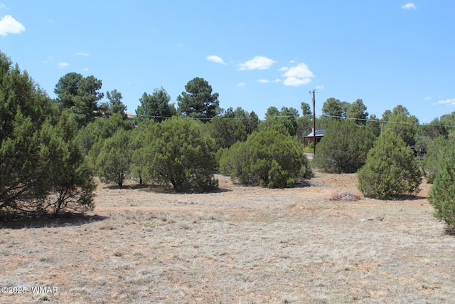 551 E Owens St, Show Low, AZ 85901 - photo 1