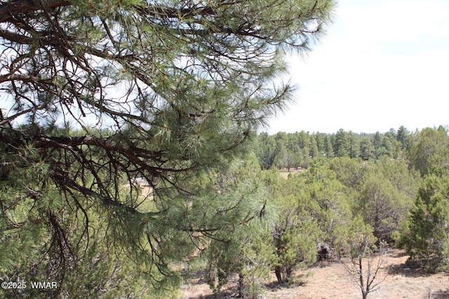 551 E Owens St, Show Low, AZ 85901 - photo 11