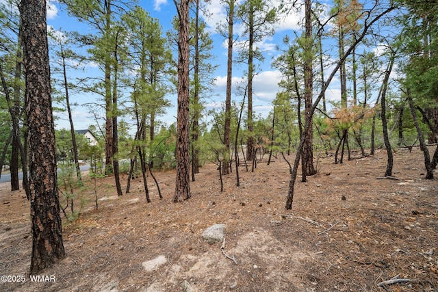 4460 W Hawthorn Rd, Show Low, AZ 85901 - photo 7