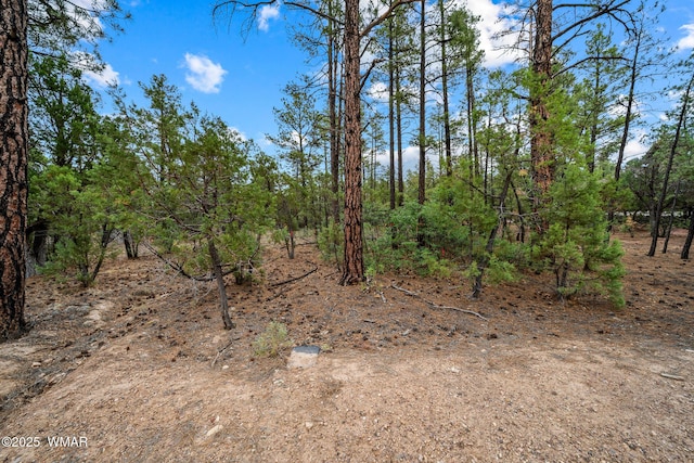 4460 W Hawthorn Rd, Show Low, AZ 85901 - photo 9