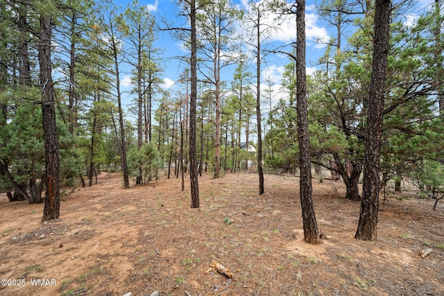 4460 W Hawthorn Rd, Show Low, AZ 85901 - photo 8