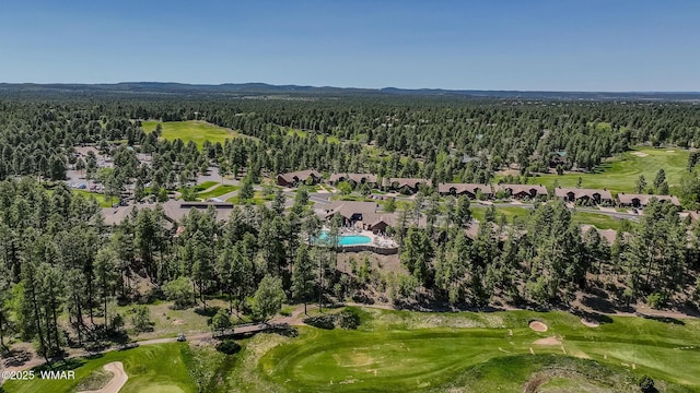 4460 W Hawthorn Rd, Show Low, AZ 85901 - photo 19