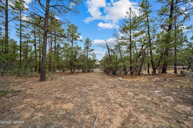 4460 W Hawthorn Rd, Show Low, AZ 85901 - photo 10