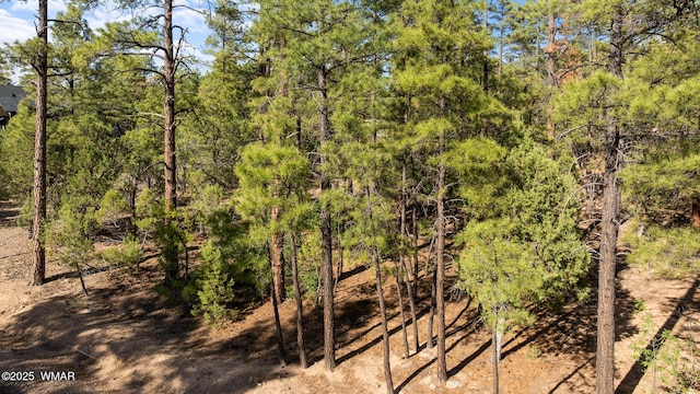 4460 W Hawthorn Rd, Show Low, AZ 85901 - photo 3