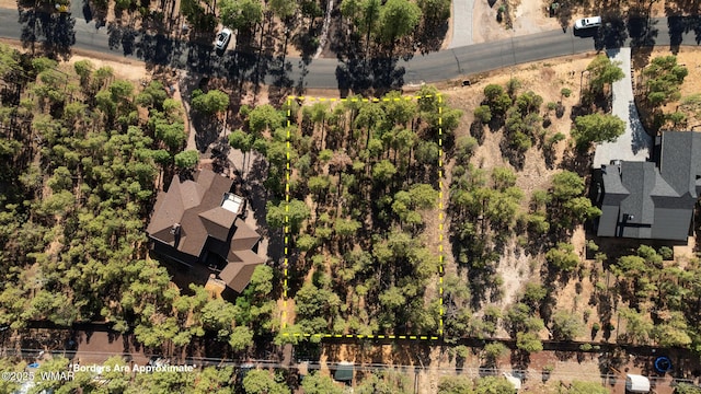 4460 W Hawthorn Rd, Show Low, AZ 85901 - photo 13