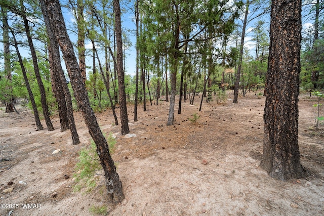 4460 W Hawthorn Rd, Show Low, AZ 85901 - photo 6
