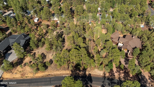 4460 W Hawthorn Rd, Show Low, AZ 85901 - photo 11