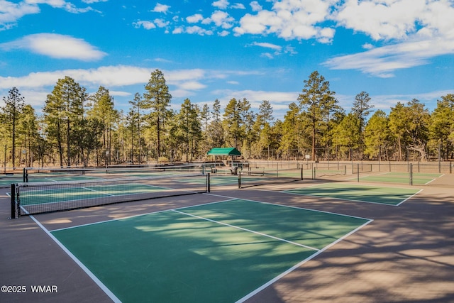 4460 W Hawthorn Rd, Show Low, AZ 85901 - photo 30