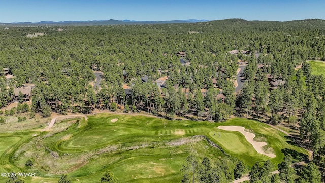 4460 W Hawthorn Rd, Show Low, AZ 85901 - photo 25