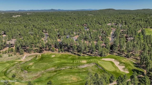 4460 W Hawthorn Rd, Show Low, AZ 85901 - photo 18