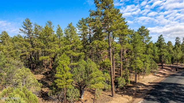 4460 W Hawthorn Rd, Show Low, AZ 85901 - photo 1