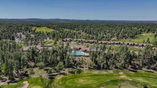 4460 W Hawthorn Rd, Show Low, AZ 85901 - photo 15