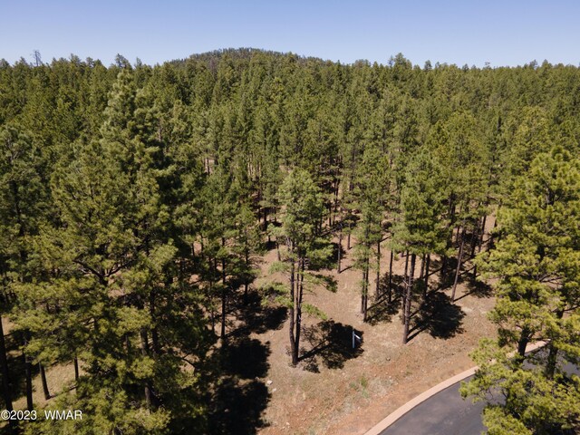 9586 Sierra Springs Way, Pinetop AZ, 85935 land for sale