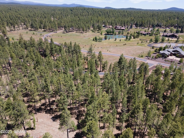 Listing photo 3 for 9586 Sierra Springs Way, Pinetop AZ 85935