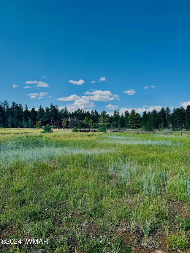 9580 Sierra Springs Dr, Pinetop AZ, 85935 land for sale