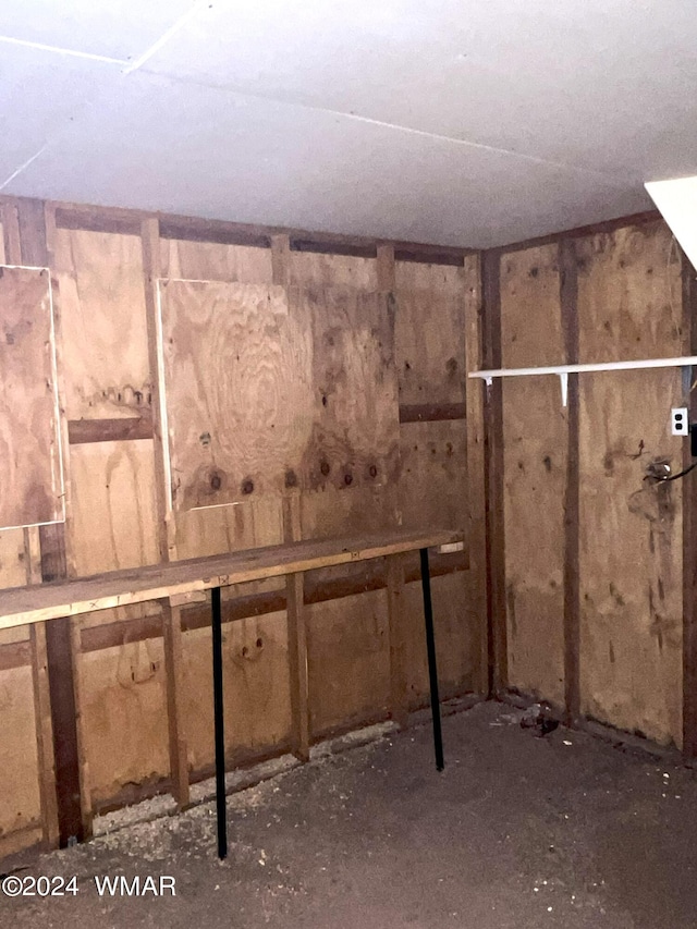 view of unfinished basement