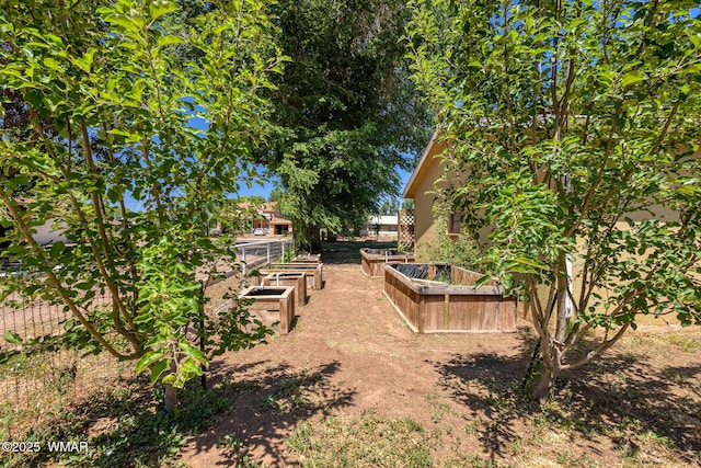 15 N 1st E St, Snowflake, AZ 85937 - view of yard with a vegetable garden