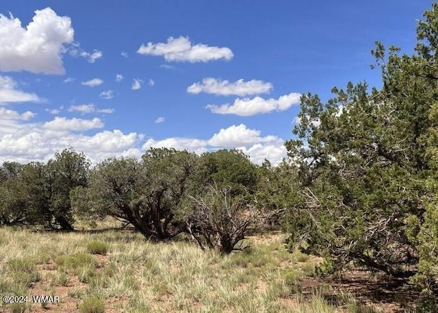 4062/4066 Apache Rd, Snowflake AZ, 85937 land for sale