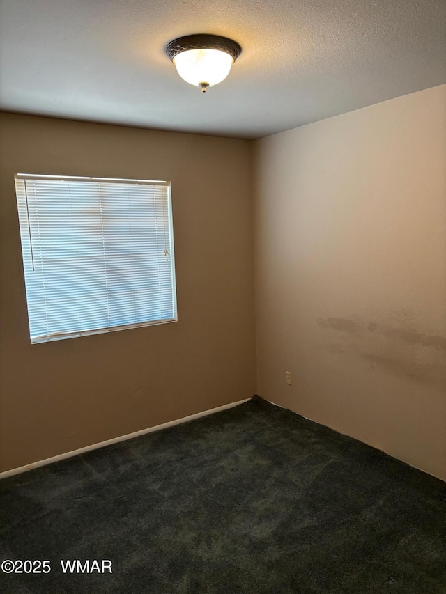 695 W 13th W, Saint Johns, AZ 85936 - photo 9