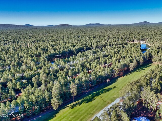 3460 Warrior Ct, Pinetop, AZ 85935 - photo 9