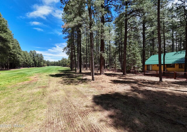 3460 Warrior Ct, Pinetop, AZ 85935 - photo 22