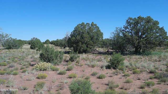 Listing photo 3 for 4434 Indian Bend Rd, Snowflake AZ 85937