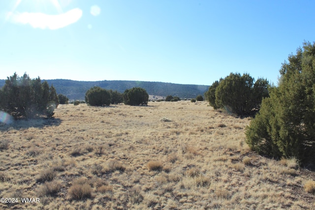 Listing photo 2 for 23 County Road 8014, Concho AZ 85924