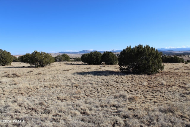 Listing photo 3 for 23 County Road 8014, Concho AZ 85924