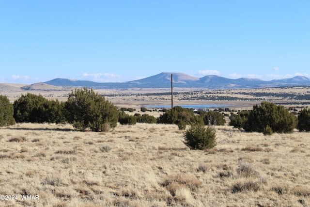 23 County Road 8014, Concho AZ, 85924 land for sale