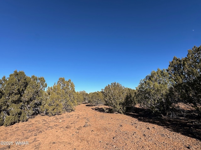 Listing photo 2 for TBD Hawk Rd, Show Low AZ 85901